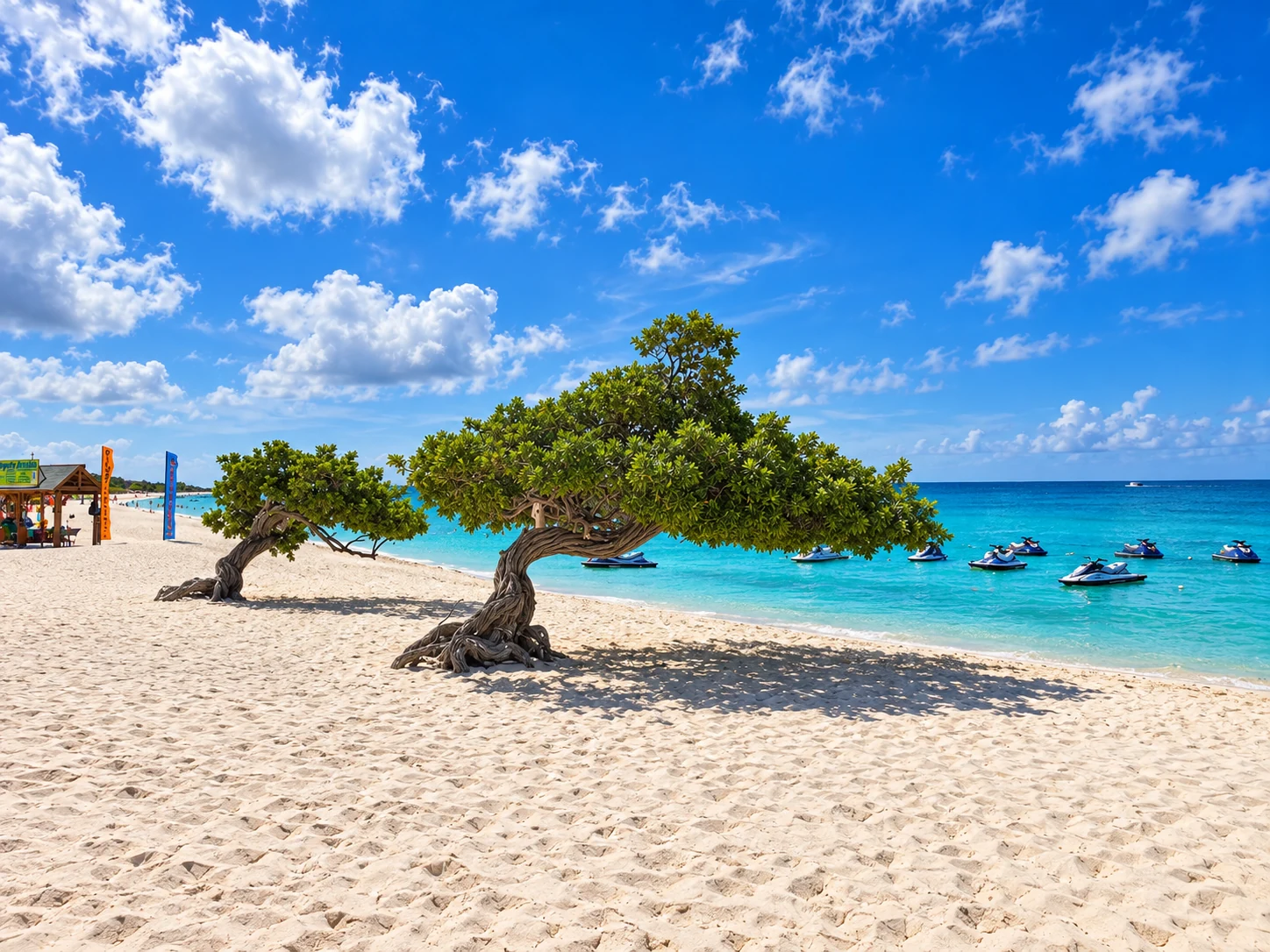 Eagle Beach’s fofoti trees on white sand beside the turquoise sea